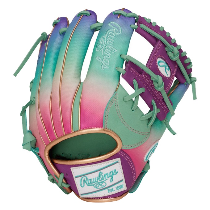 Rawlings（ローリングス）軟式用グラブ HOH UV GRAPHIC N6 BASIC 内
