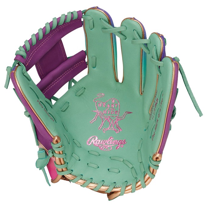 Rawlings（ローリングス）軟式用グラブ HOH UV GRAPHIC N6 BASIC 内