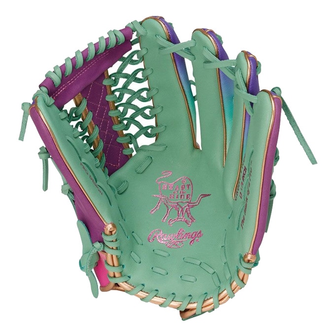 Rawlings（ローリングス）軟式用グラブ HOH UV GRAPHIC N6 BASIC 外