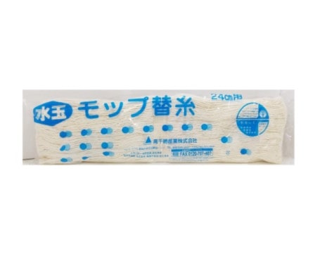 ̎ӎ̎ػ(Ď׎͎ގ) 24cm