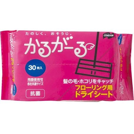 �ե�����󥰥ɥ饤������ 30P