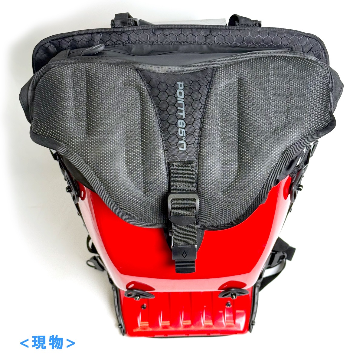 Ÿ���ʡ������ȥ�å����� Point65 BOBLBEE 25L GTX (Diablo Red) (050048) (�ݾڤ���)������̵���ʲ��츩������ˡ�
