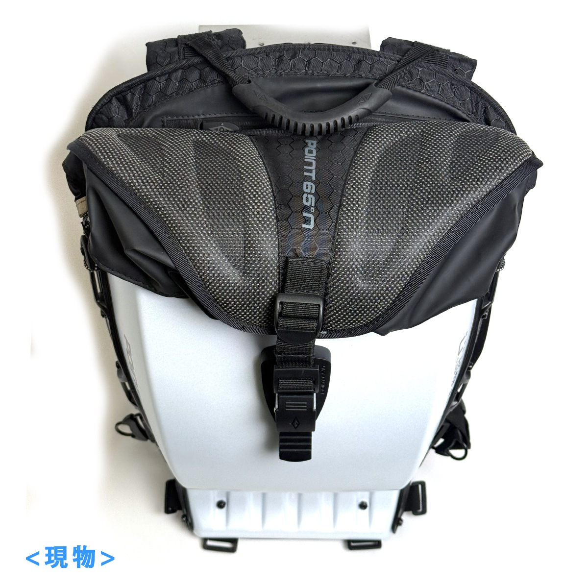 Ÿ���ʡ������ȥ�å����� Point65 BOBLBEE 20L GTX (Frost) (050038) (������ɤΤ��ݾ�)������̵���ʲ��츩������ˡ�