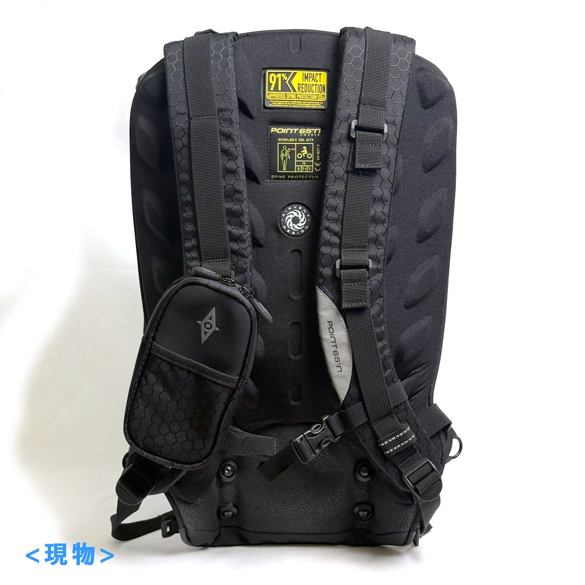 Ÿ���ʡ������ȥ�å����� Point65 BOBLBEE 20L GTX (Frost) (050038) (������ɤΤ��ݾ�)������̵���ʲ��츩������ˡ�