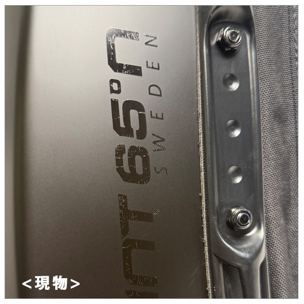 Ÿ���ʡ������ȥ�å����� Point65 BOBLBEE 20L GT (Phantom) (050044) (������ɤΤ��ݾ�)(������������˽��Τ褦���פ��ꡢ�������ȥ��ȥ�åפ���ӥ������ȥ٥�Ȥʤ�)