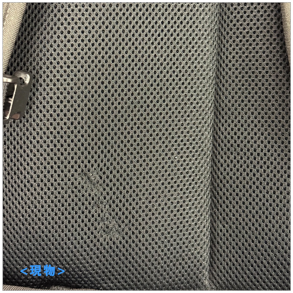 ��Ÿ���ʡ������ȥ�å������Henty Wingman BackPack 2 CPT (����ѥ���)#050050 