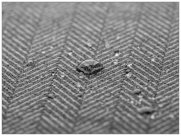 moshi Pluma 99MO104055 MacBook 16������ڥݥ����5�ܡۡ�����̵���ʲ��츩������ˡ�