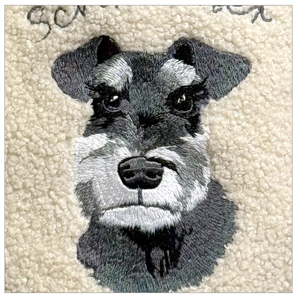 ����ʥ����� �ܥ��ɽ������ɥȡ���