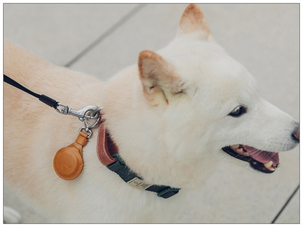 moshi AirTag Key Ring �ڥݥ����10�ܡ�