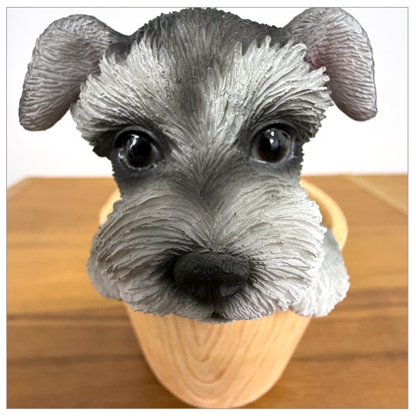 WOOBIA ����ʥ����� �ڥ�Ω�� H23238