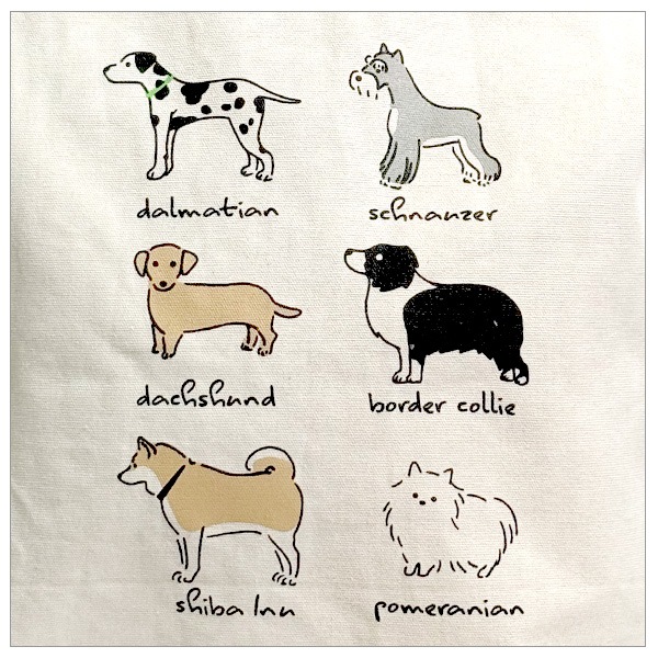 ���̥�����(���޴�) ����ե��å��ȡ���