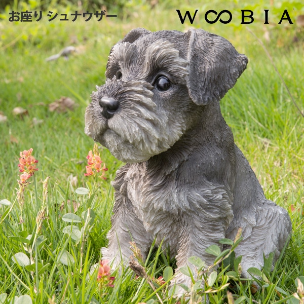 WOOBIA ���¤� ����ʥ�����  H14020