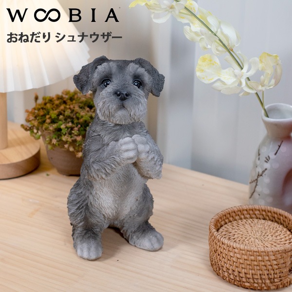 WOOBIA ���ͤ��� ����ʥ����� H17327