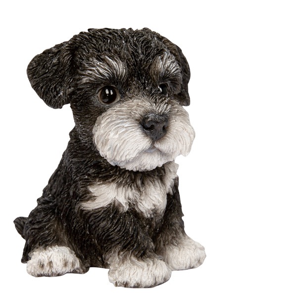 WOOBIA ���¤ꥷ��ʥ������ʾ��� H25096