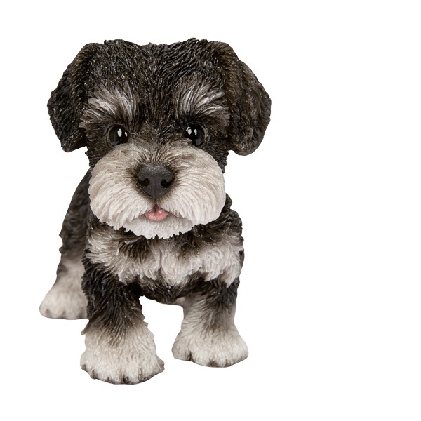 WOOBIA Ω�ĥ���ʥ������ʾ���H25097