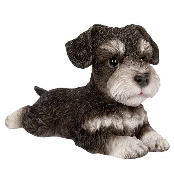 WOOBIA ���å��� ����ʥ����������H25106