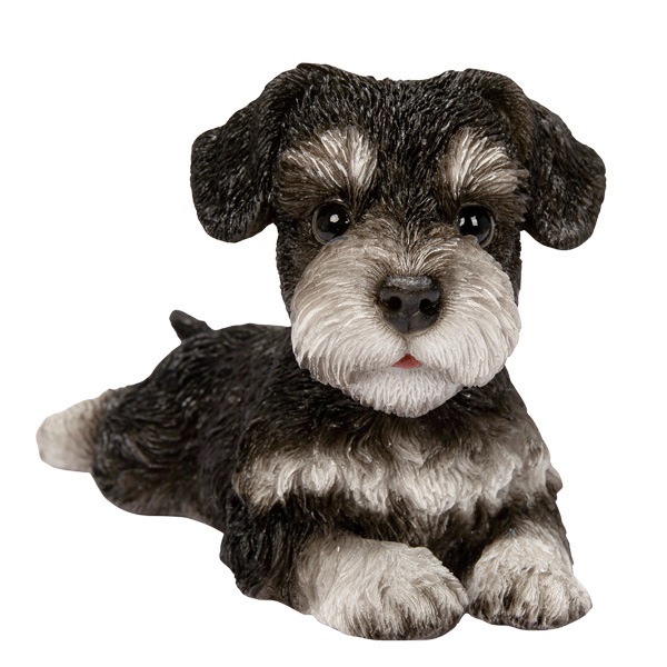 WOOBIA ���å��� ����ʥ����������H25106