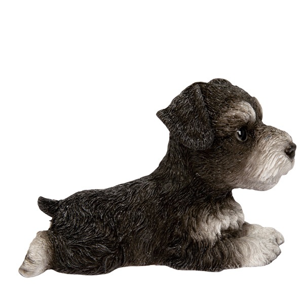 WOOBIA ���å��� ����ʥ����������H25106