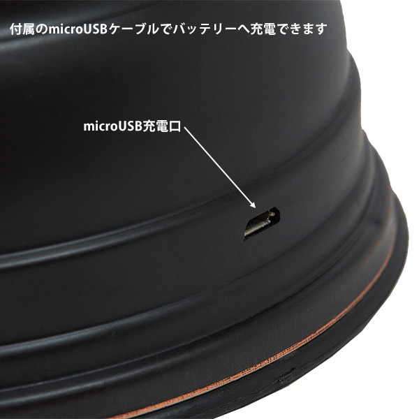 ���ż� LED��󥿥� ����ƥ�����Ĵ Barebones Living �٥��ܡ��󥺥�ӥ� �ե��쥹�ȥ�󥿥�LED2.0 ������ �ɺ� ����ƥꥢ �ե��� ����200�롼��������̵���ʲ��츩������ˡ�