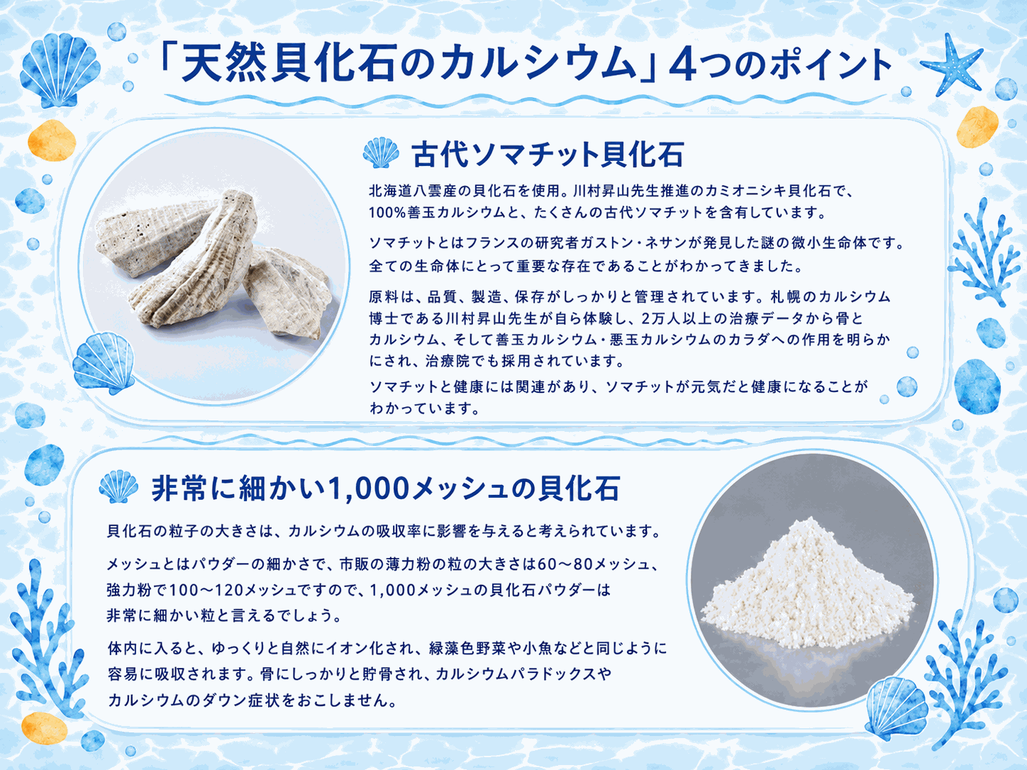 ソマチット粉末 天然貝化石のカルシウム (旧 太古のカルシウムPLUS