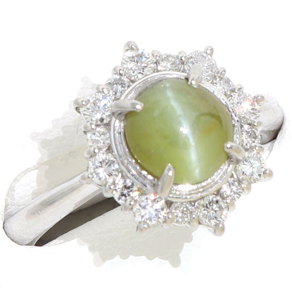 �ץ����900 ���� ��ǥ����� ����� ���꥽�٥�� ����åȥ��� ���奨�꡼ 11�� �桼���� ��桼�� ������ơ��� 