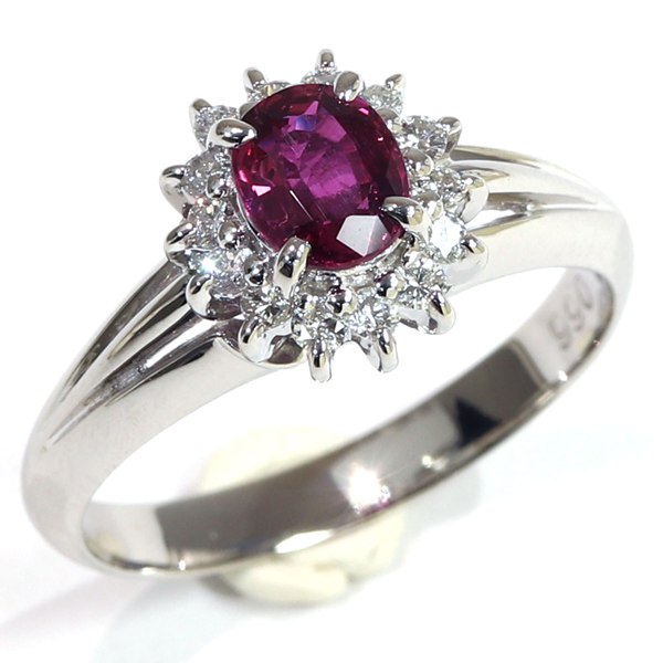 �ץ����900 ��� ���� ��ǥ����� 12�� ��ӡ� ����� ���奨�꡼ �桼���� ��桼�� ������ơ��� ���������꡼