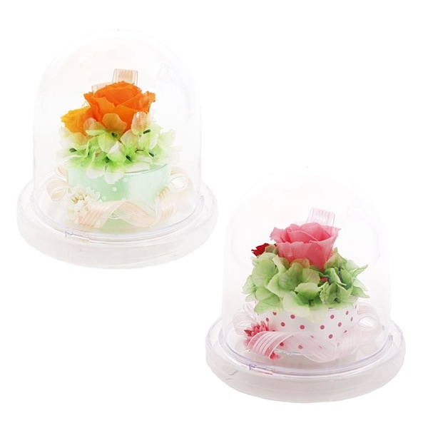 ���եȥե� �ץꥶ���֥ɥե� �饦��ɥɡ��� Preserved Flower SD222