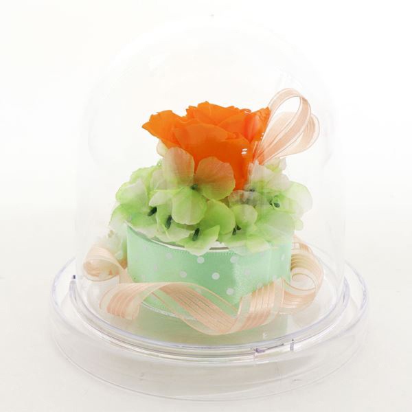 ���եȥե� �ץꥶ���֥ɥե� �饦��ɥɡ��� Preserved Flower SD222