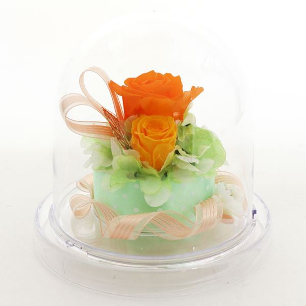 ���եȥե� �ץꥶ���֥ɥե� �饦��ɥɡ��� Preserved Flower SD222