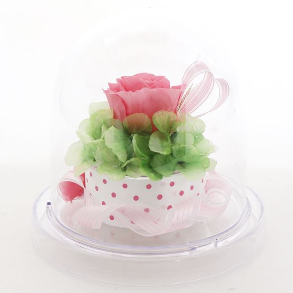 ���եȥե� �ץꥶ���֥ɥե� �饦��ɥɡ��� Preserved Flower SD222