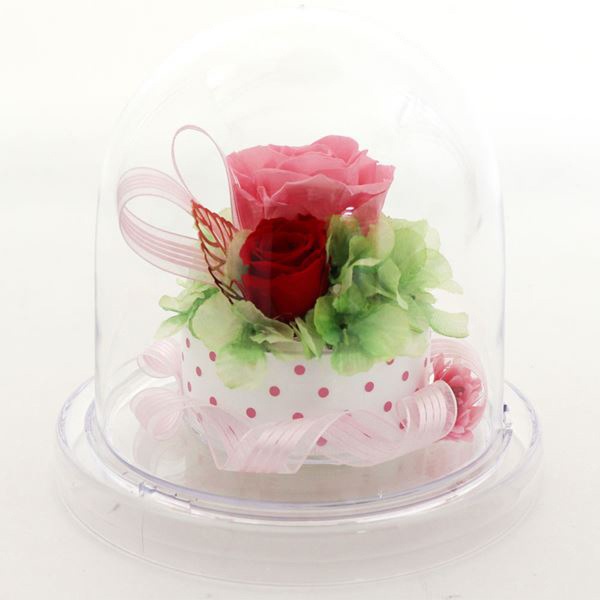 ���եȥե� �ץꥶ���֥ɥե� �饦��ɥɡ��� Preserved Flower SD222