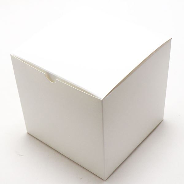 ���եȥե� �ץꥶ���֥ɥե� �饦��ɥɡ��� Preserved Flower SD222