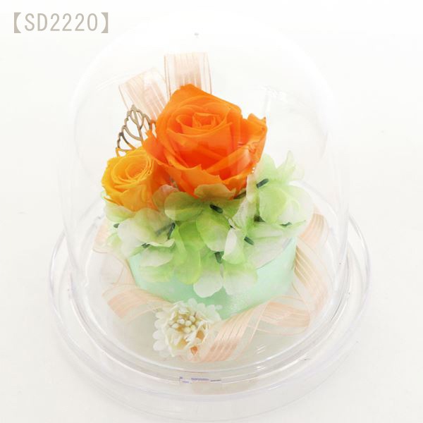 ���եȥե� �ץꥶ���֥ɥե� �饦��ɥɡ��� Preserved Flower SD222