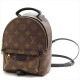 �륤�����ȥ� ���å� ��ǥ����� LOUIS VUITTON �Хå��ѥå� �Хå� �֥饦�� M44873 