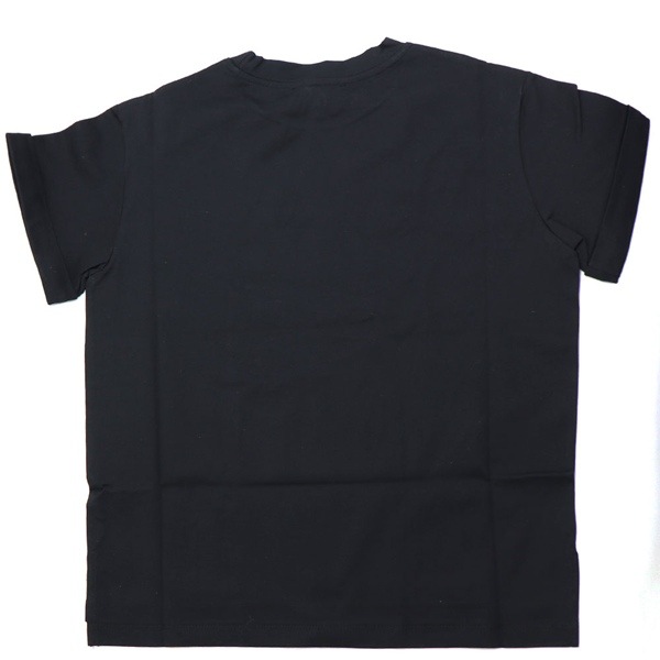 �ǥ������� T����� ��ǥ����� DEVASTEE ����T �֥�å� 22ASPTP014 