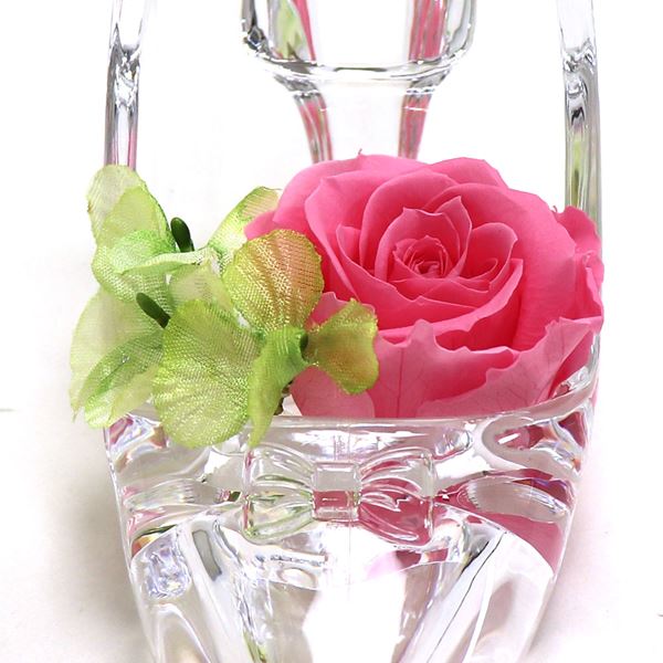 ���եȥե� �ץꥶ���֥ɥե� �������ϥ��ҡ��� ��ǥ����� ��� Preserved Flower �ץ����ե� ���ꥢ�ߥԥ� PZ822CP