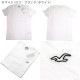�ۥꥹ���� T����� ��� Hollister ���ݥ���� ���롼�ͥå� �ۥ磻�� �֥�å� HOLLIS CNP