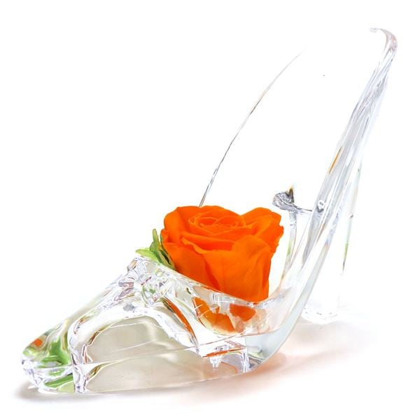 եȥե ץꥶ֥ɥե ϥҡ ǥ  Preserved Flower ץե ꥢߥ PZ822CO