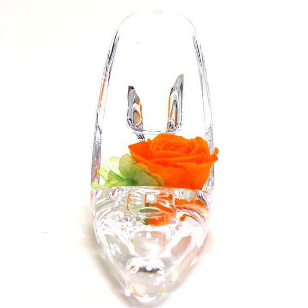 եȥե ץꥶ֥ɥե ϥҡ ǥ  Preserved Flower ץե ꥢߥ PZ822CO