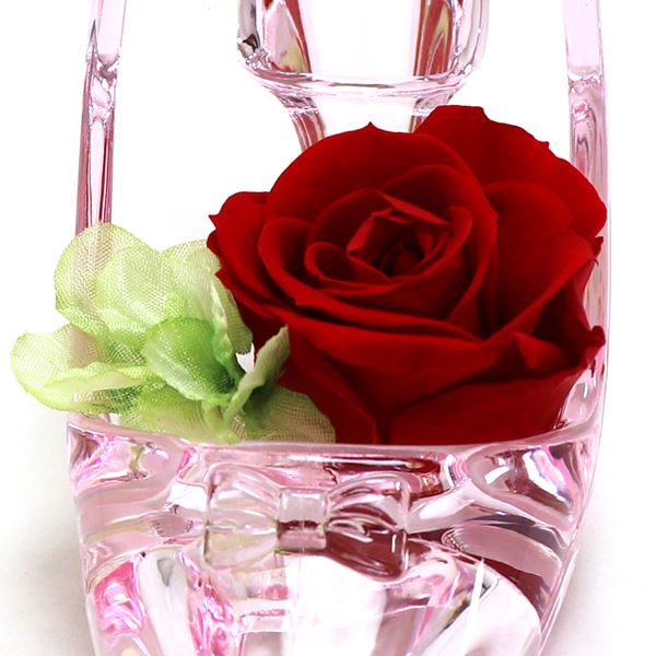 ���եȥե� �ץꥶ���֥ɥե� �������ϥ��ҡ��� ��ǥ����� ��� Preserved Flower �ץ����ե� �ԥ󥯡ߥ�å� PZ822PR