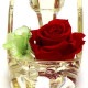 եȥե ץꥶ֥ɥե ϥҡ ǥ  Preserved Flower ץե ɡߥå PZ822GR