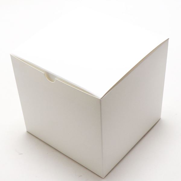 ���եȥե� �ץꥶ���֥ɥե�  �饦��ɥɡ��� ��ǥ����� ��� Preserved Flower �ץ����ե� �ԥ� SD222P