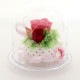 ���եȥե� �ץꥶ���֥ɥե�  �饦��ɥɡ��� ��ǥ����� ��� Preserved Flower �ץ����ե� �ԥ� SD222P