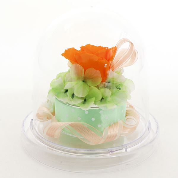 ���եȥե� �ץꥶ���֥ɥե�  �饦��ɥɡ��� ��ǥ����� ��� Preserved Flower �ץ����ե� ����� SD222O