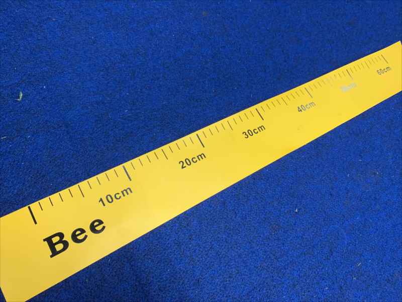 BEE 60cm �᥸�㡼/PVC����������