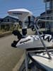 �͵���12V��ǥ롦 HAIBO �ϥ��� ���ݥåȥ��å���P70/12V���͡�65LB�� ����ե�Ĺ��������/�����8��������