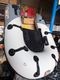 ���庸��ȴ���ΰ�������100kg���б�����ä���;͵�Ǥ���̾��ե���������BEE146�ץ饹�������顼/���եܥǥ���