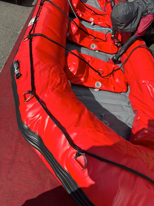 BEE 380BA /��162cm��TUFF BODY/�Х����å׷��������쥤�䡼���͡�¨Ǽ