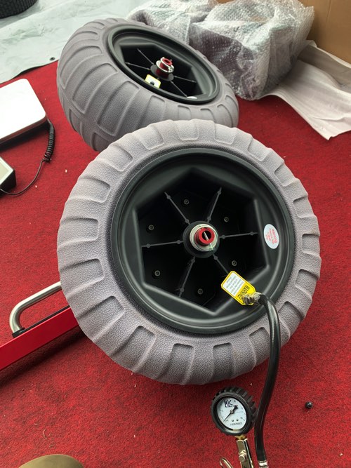 NEW�������16��������٥������¡��������¤ΥХ롼�󥿥������塦BEE�����եɡ��꡼2��41cm�ΥХ롼�󥿥����