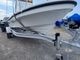�����˶�����5.66�����ե륢��ߥե졼����ѡ�ͽ�������ա��������17ft���饹�ȥ졼�顼��BEE BT-A580/16〜17ft�б�